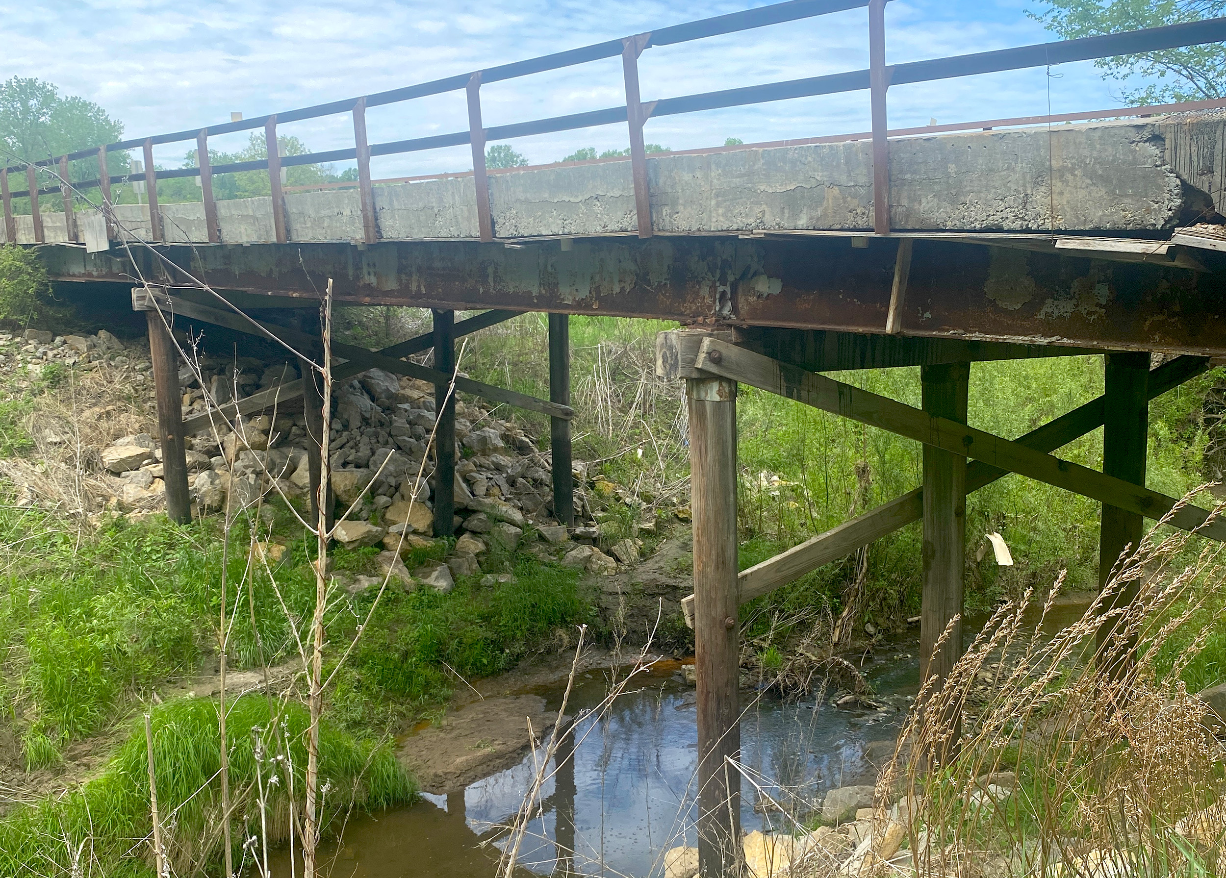 Wilson & Company provide wetland assessments and reporting to support MoDOT in making informed decisions that balance infrastructure development with environmental conservation.