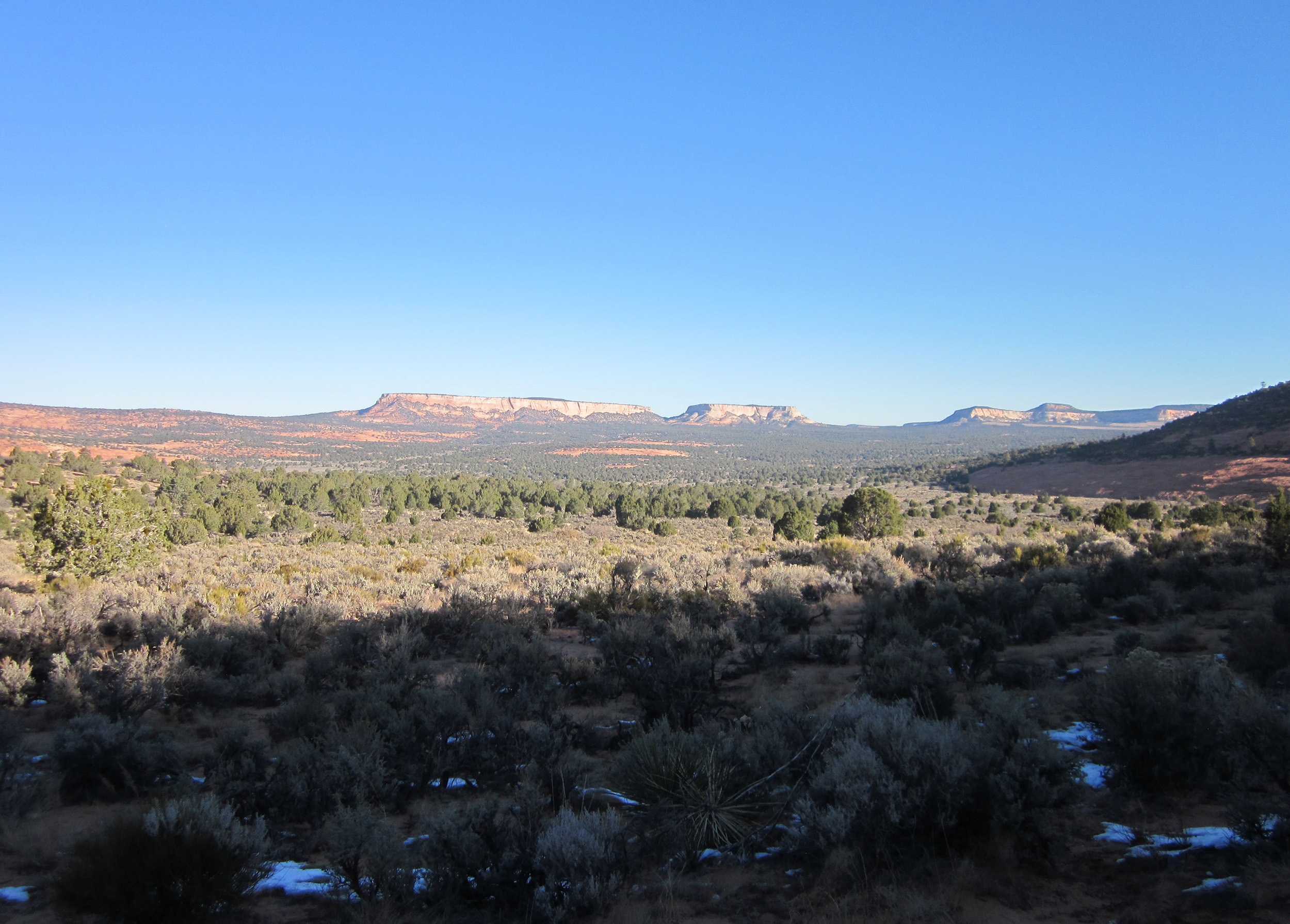 Wilson & Company successfully completed a comprehensive archaeological pedestrian survey spanning 2,596 acres of Bureau of Land Management (BLM) and school trust lands situated along the Utah-Arizona border.