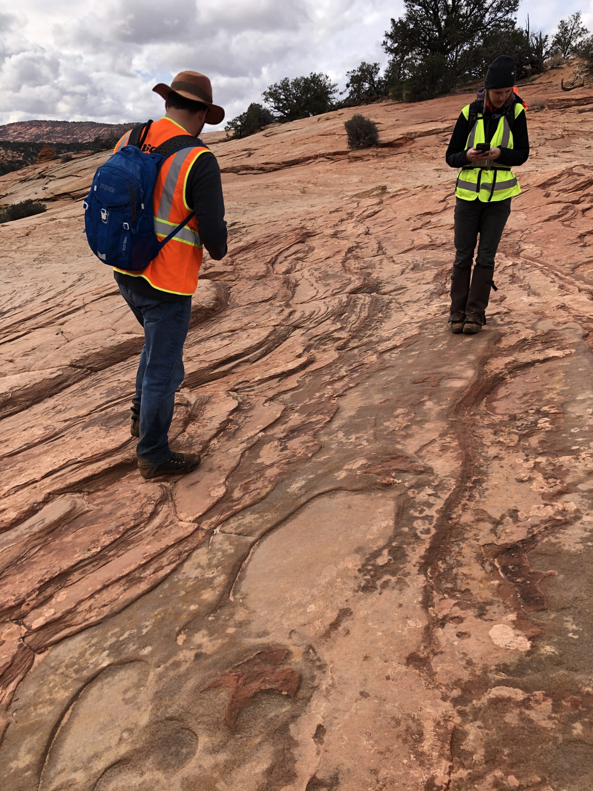 Wilson & Company crews walking among dinosaur tracks in Utah